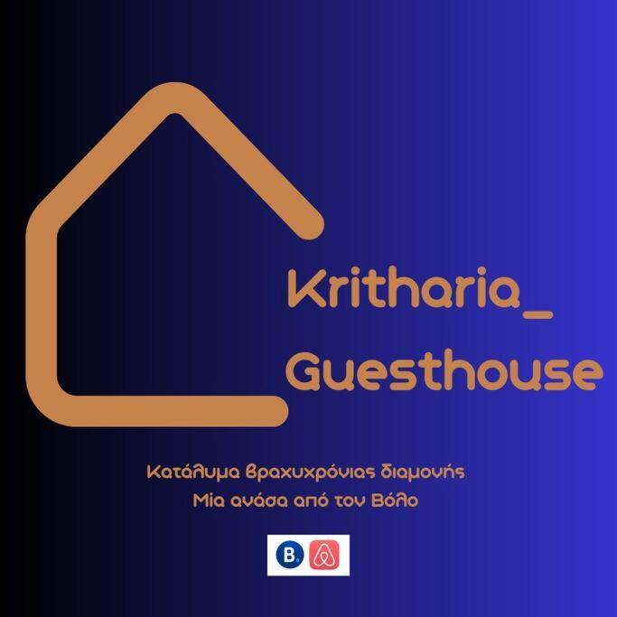 Kritharia Guesthouse Volos Bagian luar foto