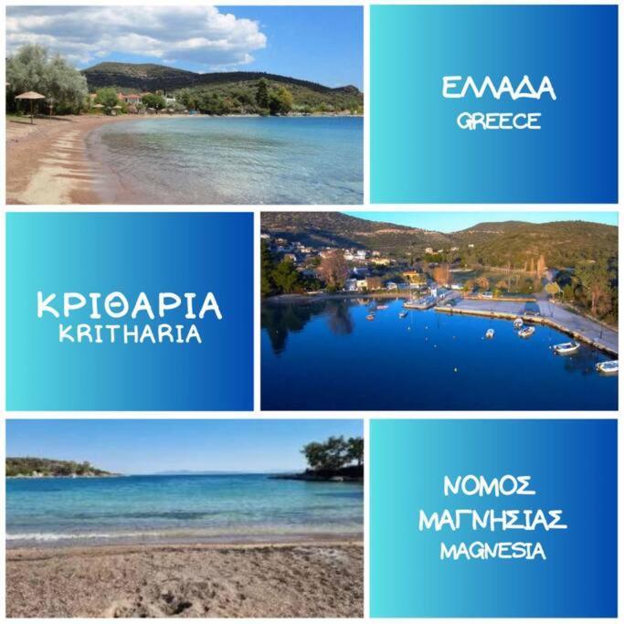 Kritharia Guesthouse Volos Bagian luar foto