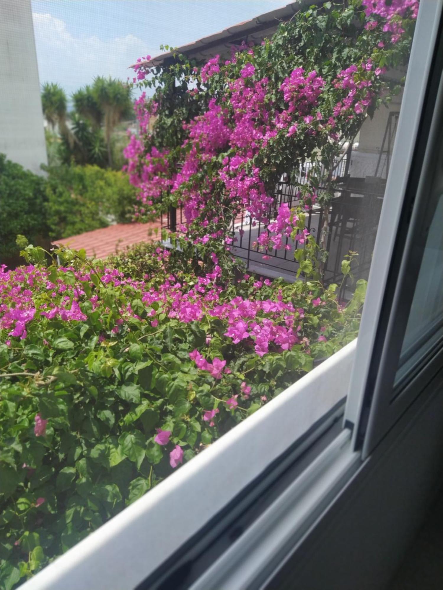 Kritharia Guesthouse Volos Bagian luar foto